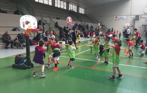 PLATEAU BABY A ST PIERRE