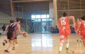 5472e0ddb0e11_P1090042.JPG
