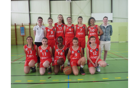CEST : U15   VICES CHAMPIONNES DEPARTEMENTALES