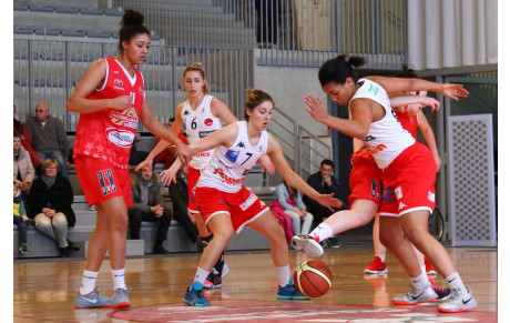 CEST : THEY ARE BACK !