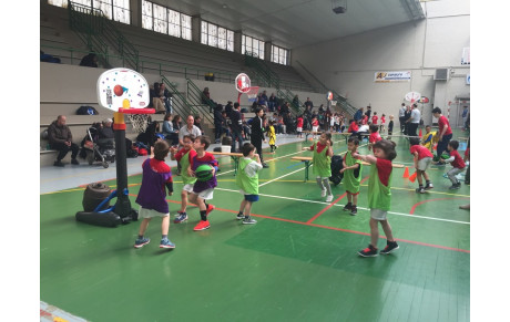 PLATEAU BABY A ST PIERRE